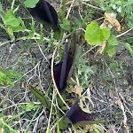 Séjour à la campagne Kaizer Agrotourism *