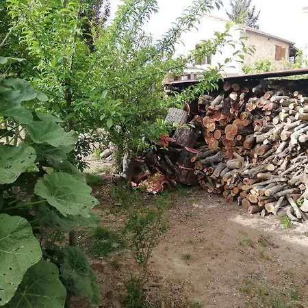 カントリーハウス Kaizer Agrotourism
