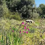 Kaizer Agrotourism Amargeti