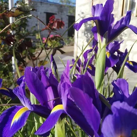 Kaizer Agrotourism Landhaus