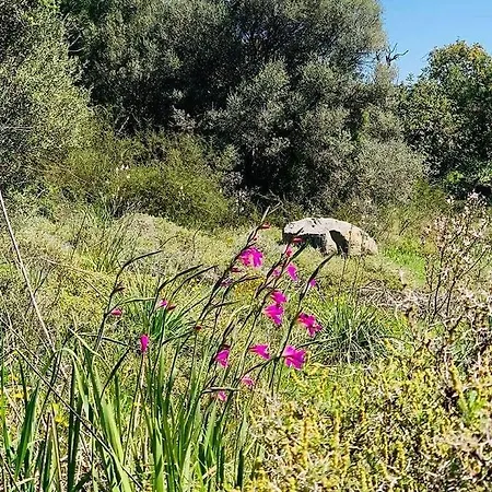 Kaizer Agrotourism Amargeti