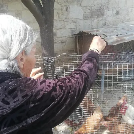 Kaizer Agrotourism *