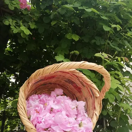 Kaizer Agrotourism Amargeti