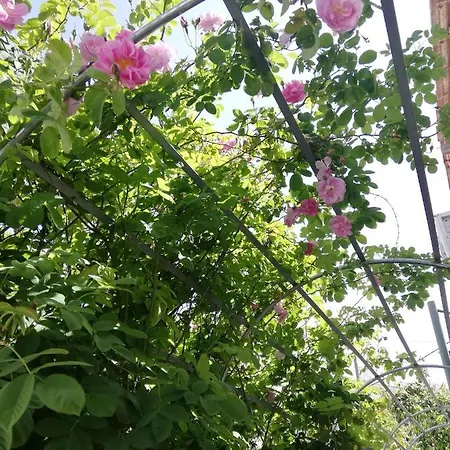 乡村民宿 Kaizer Agrotourism