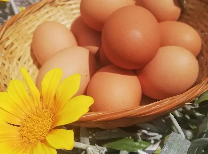 Kaizer Agrotourism Amargeti