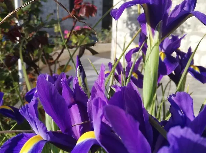 Kaizer Agrotourism カントリーハウス