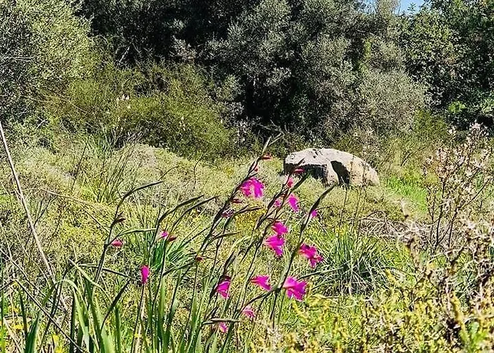 Kaizer Agrotourism Amargeti