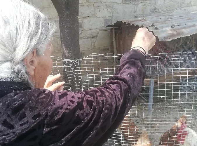 Kaizer Agrotourism *