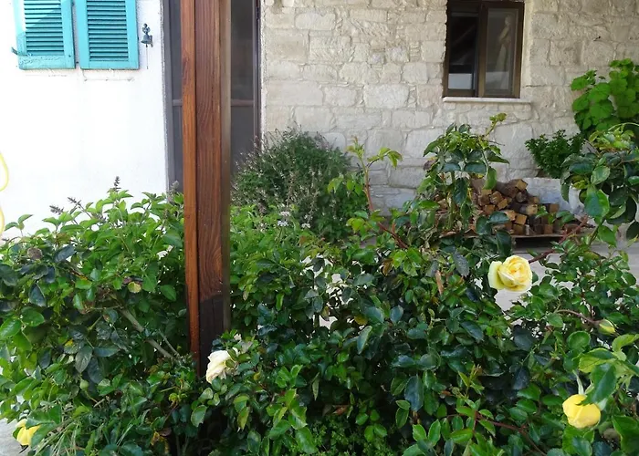 Kaizer Agrotourism カントリーハウス