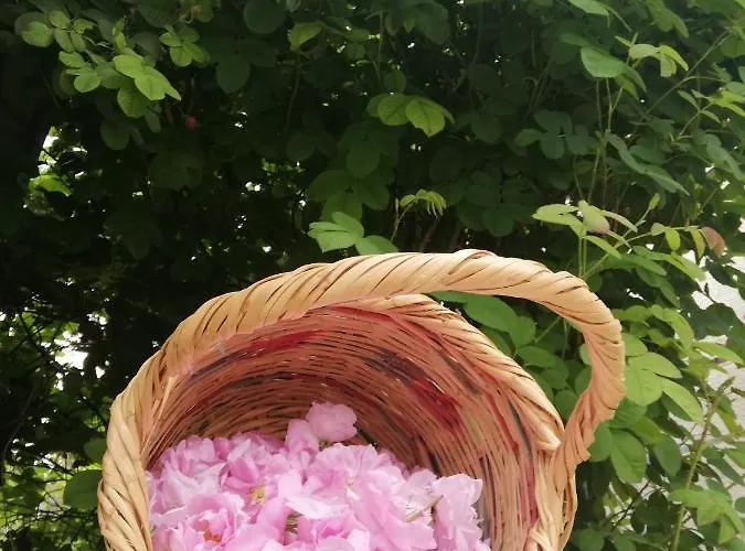 Kaizer Agrotourism Amargeti