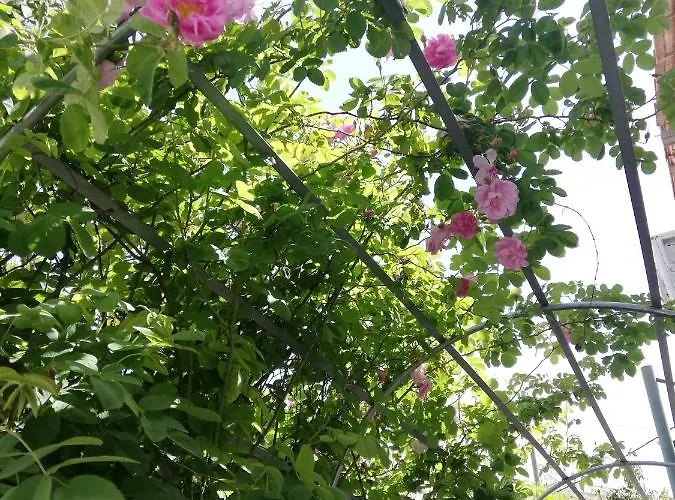 カントリーハウス Kaizer Agrotourism