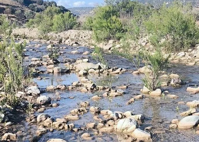 カントリーハウス Kaizer Agrotourism Amargeti