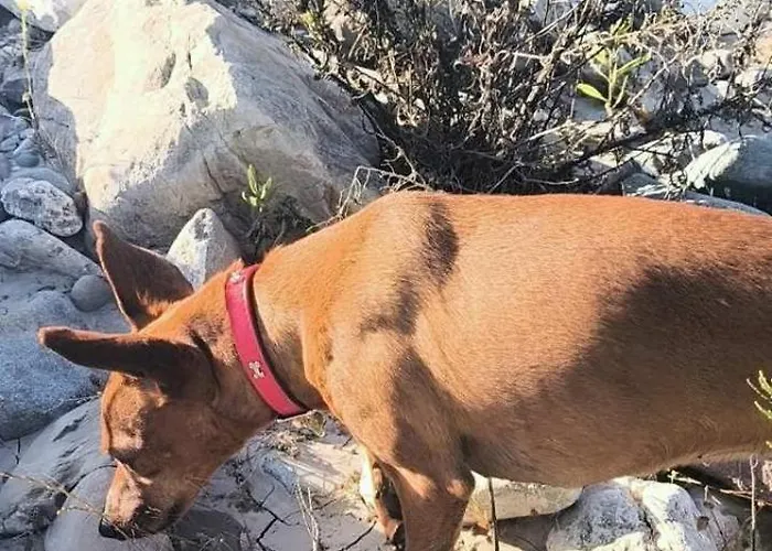 Venkovský dům Kaizer Agrotourism