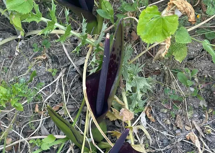 Venkovský dům Kaizer Agrotourism *